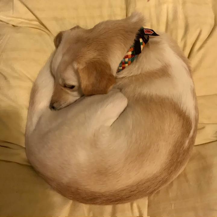 Ee897793 02c1 44e0 b669 5db673b4366e 1604417366920