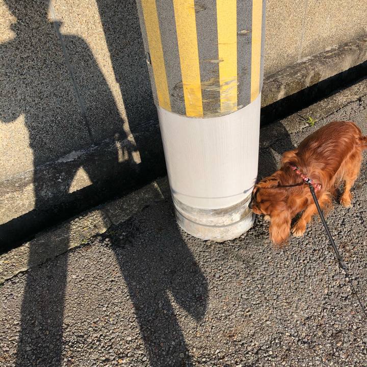 Ee899224 9420 4df3 a33e 4dbea29be9a5 1584691358402