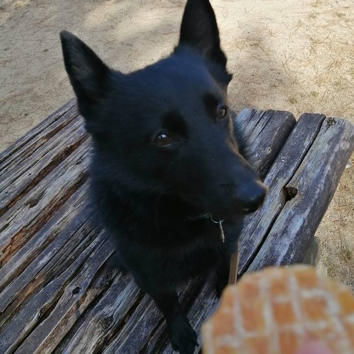 Ee89aca4 dd5d 40b4 bf5b 2b8bbf1113b9 1614384755383