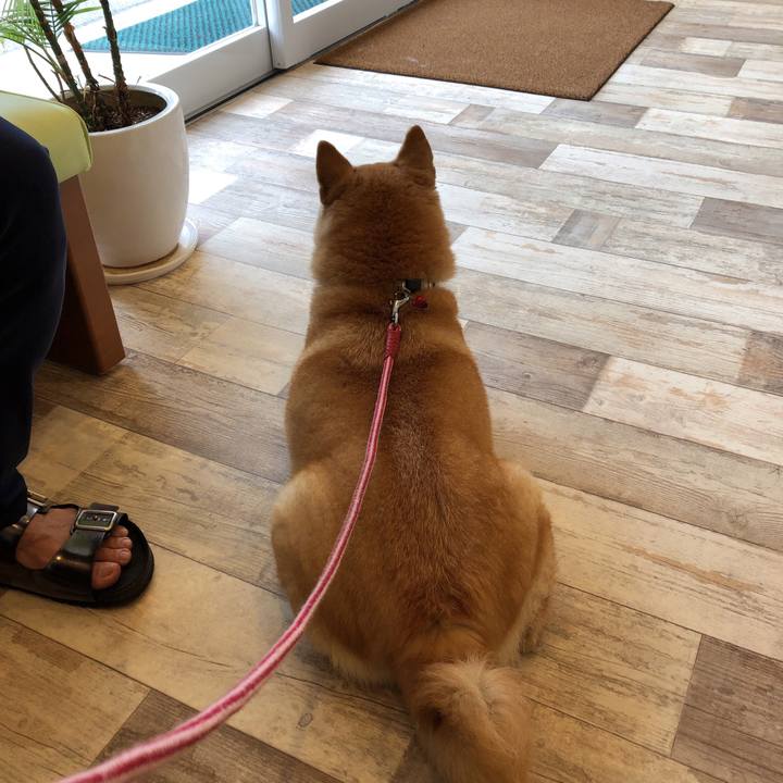 Ee89b891 31e9 4f0d 855a 533cde6f6a49 1562412674170