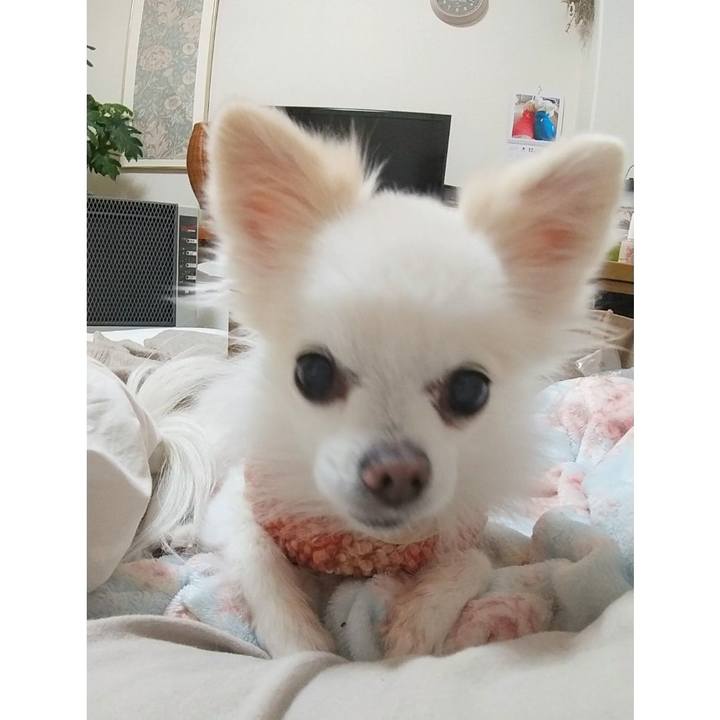 Ee8a164e a5be 4741 8983 e98139012db6 1639312666188