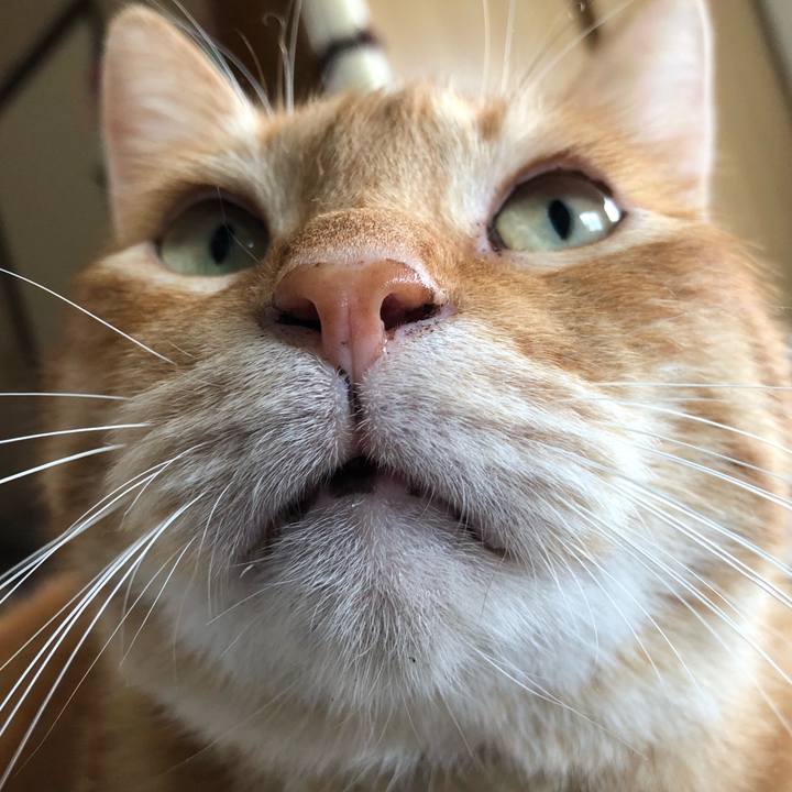 Ee8a1c95 e1be 44ef bb1f cd12c4425a5a 1593242584324