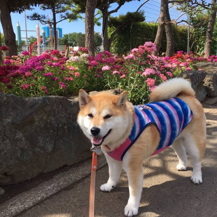 Ee8a2a4c 8653 43da 9c1f 58f1289119ae 1558489567492