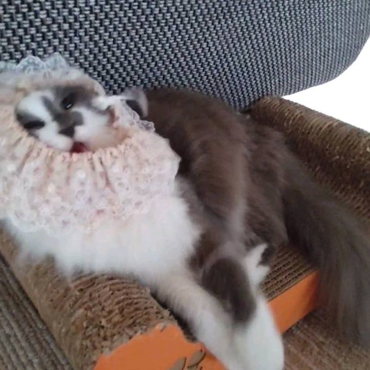 Ee8a48df 77e0 479f a585 f18e35486567 1727576702651