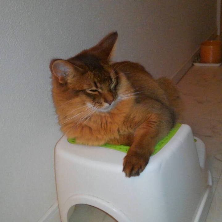 Ee8a5949 ae2c 4798 aa85 c24525f13313 1590645276334