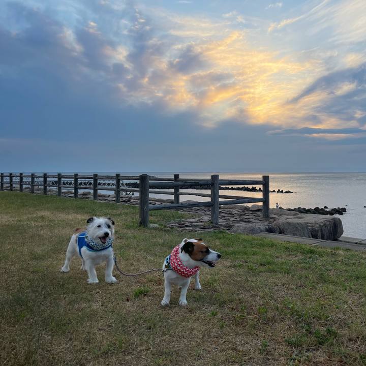 Ee8a70a8 9798 42f0 942b 9624d5321887 1692099909411