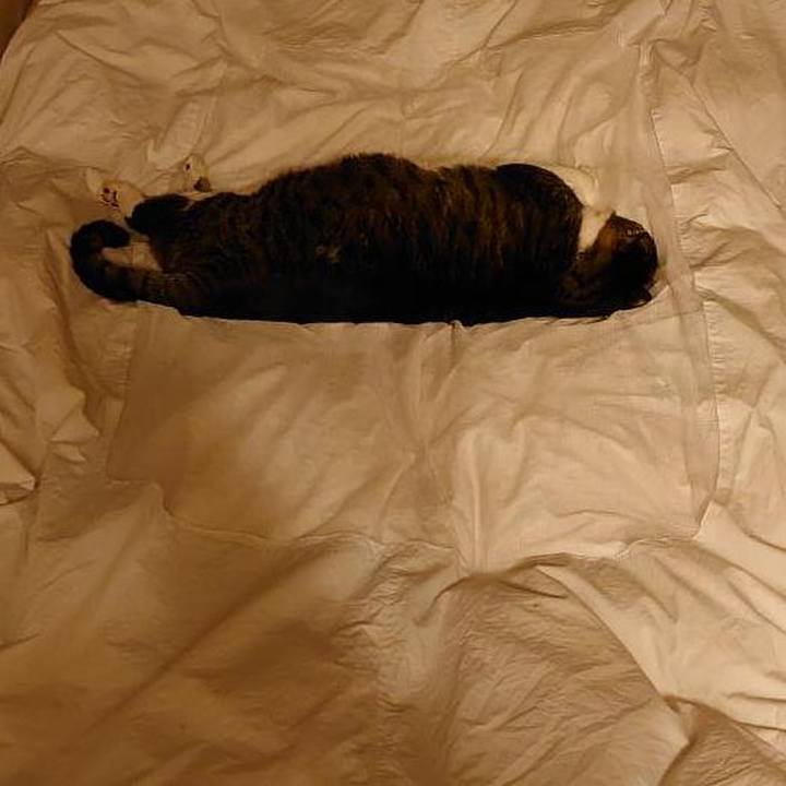 Ee8a9c64 c06d 4370 b486 72d739e4bf0f 1605576223027