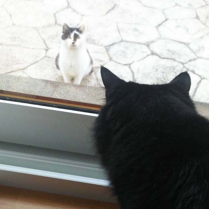 Ee8ab4aa 2e60 4de4 88c1 b2348329414c 1511410260866