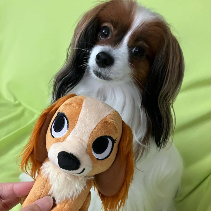 Ee8ac8ae 78d9 46c7 b9c0 88d03bbdd462 1720223361463