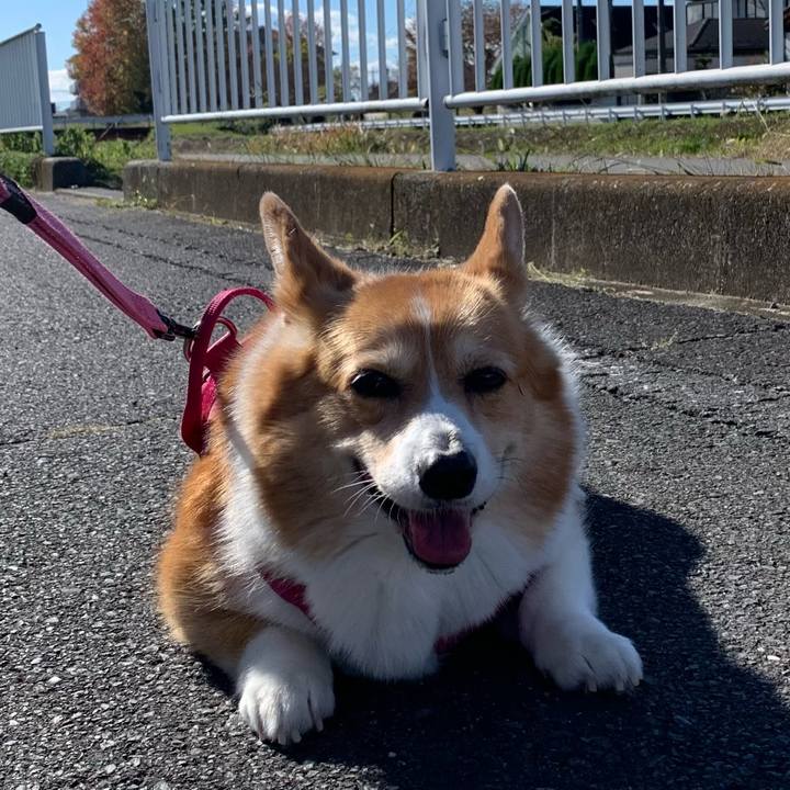 Ee8b18e3 9a7e 4b0d bdfd 0b5c5b40031e 1700274230547