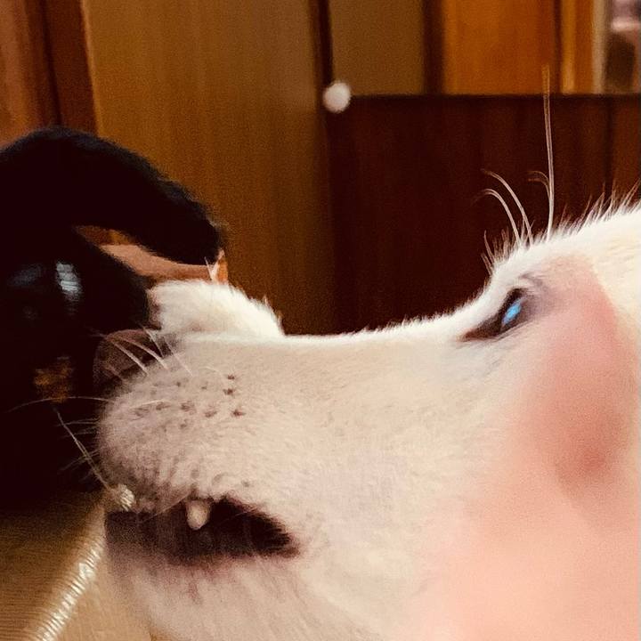 Ee8b1d9a 1c96 4863 9f4f 9f87c42dc4f3 1619867822906