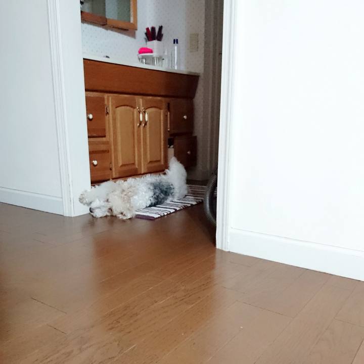 Ee8b7f9c bb6a 4b47 a45d efaaf5b00be5 1515745821670