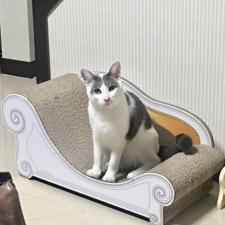 Ee8b9768 b70d 4fbe 9f4c 5b14b10ddd35 1534604203314