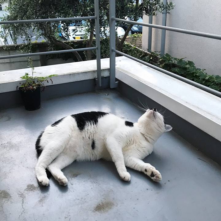 Ee8bb334 dcd9 41e6 bab7 3cb52110d8a5 1525188808189