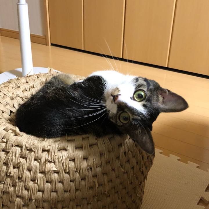 Ee8bcf50 e325 40ce 8549 8edaa398a344 1529597229337