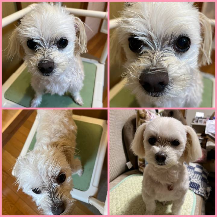 Ee8bd697 7db6 4ef7 ae88 dae66e887f4f 1671255822316