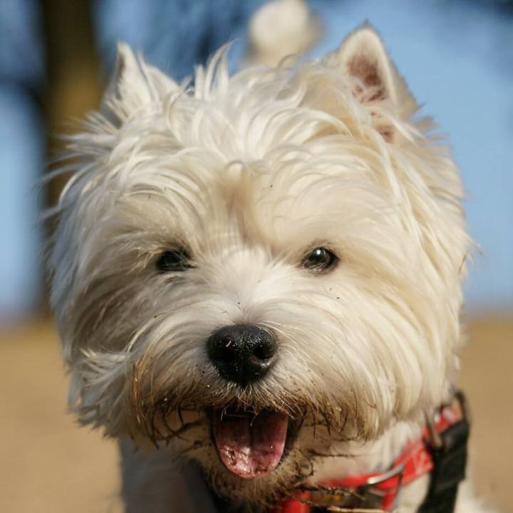 Ee8bdfe8 b47a 48b1 9316 9f5384a06d76 1520939588720