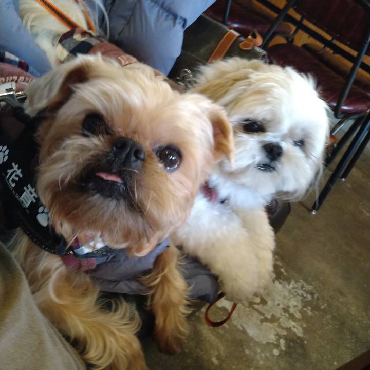 Ee8be774 8d9a 480f a887 3f6081b672bd 1643186803412