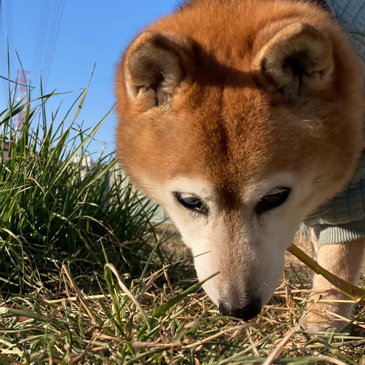 Ee8bef87 e9c3 4191 95dd e488184030dc 1769993343038