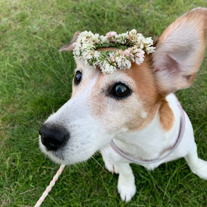 Ee8bf7c8 c0e6 42c6 adc8 9e7117174e56 1592345513315