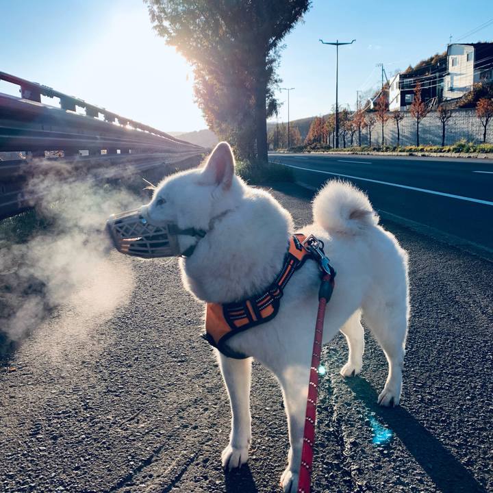 Ee8bf9f9 e001 4ad2 9bb9 18ff9dfef6fe 1636154022026