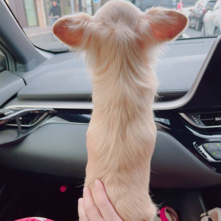 Ee8c1200 cd81 4113 ac9c 935a0745f5ed 1704627861662