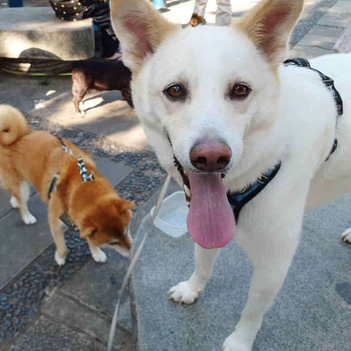 Ee8c2bed f035 43dc b157 5c9f6d329e91 1656116623354