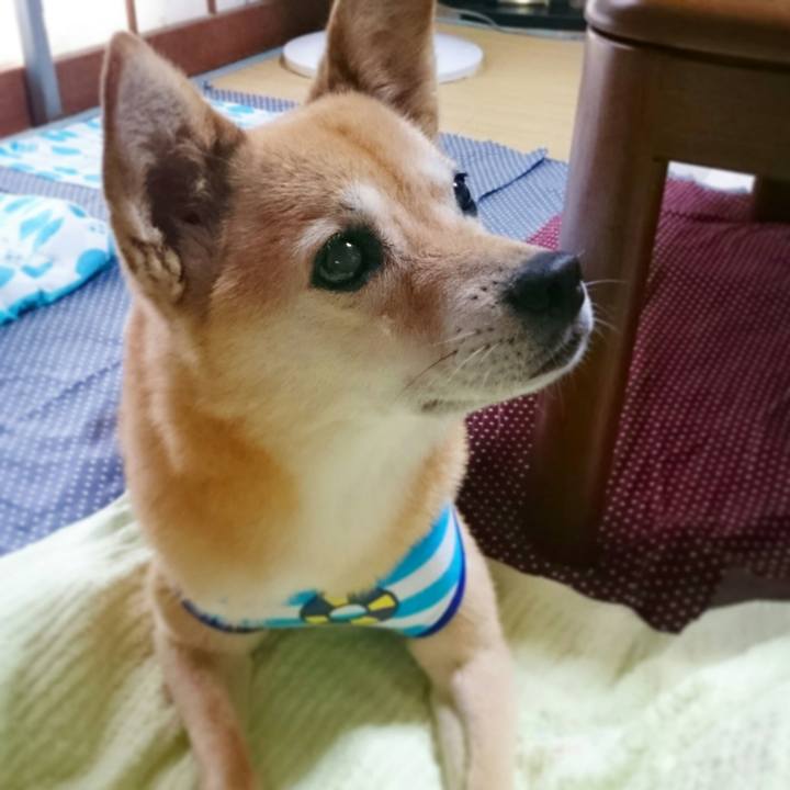 Ee8c3cfb 3259 45c2 b695 7b331085425d 1536058371120