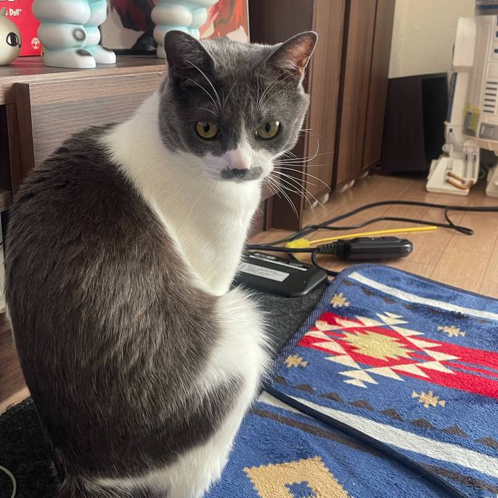 Ee8c5c5d 32d7 4be5 b3ce 370c115a50ce 1646955486527