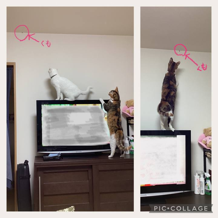 Ee8c7b8f 29cb 4e5b 8d27 46cac975d680 1665179626509