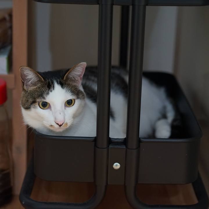 Ee8c91dc a588 4b7c a7db 456634a6b482 1556114309948