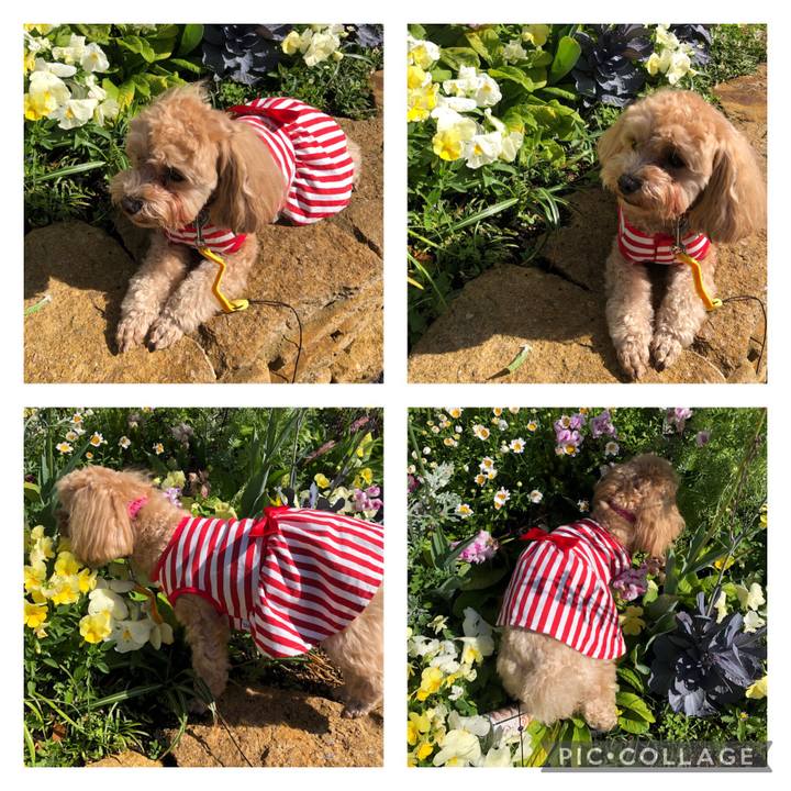 Ee8cc06b 5c20 406a b591 dbdd2a03c508 1619780005323