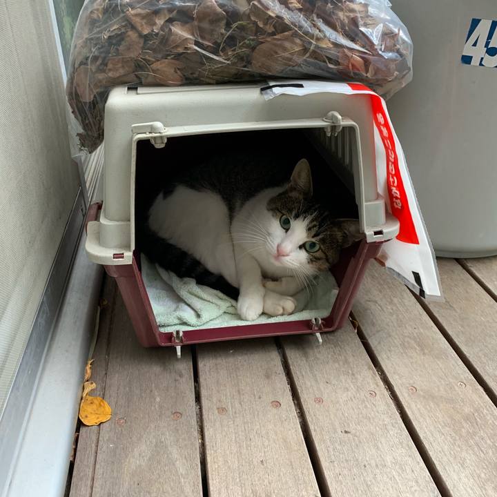 Ee8cc301 da16 46b2 af3f ea92bfc38782 1571373083216