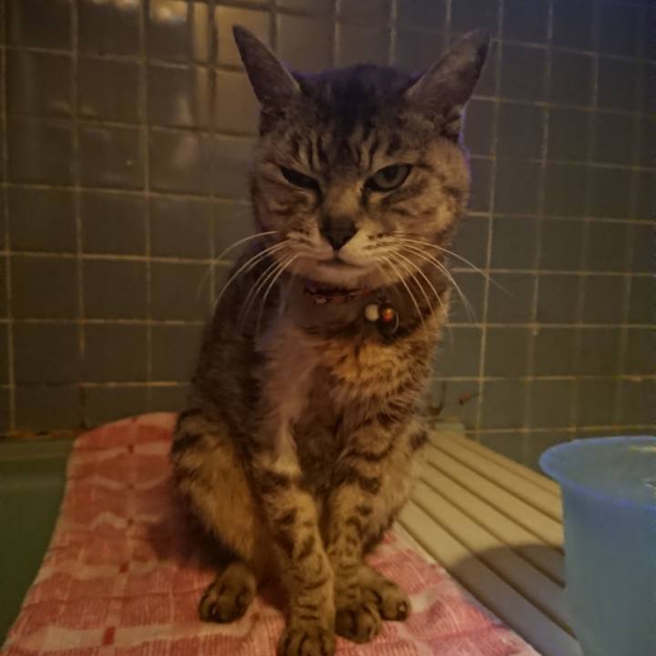 Ee8d1ad7 5b16 4c6e 956e 7cf0fda0ce65 1593166893093