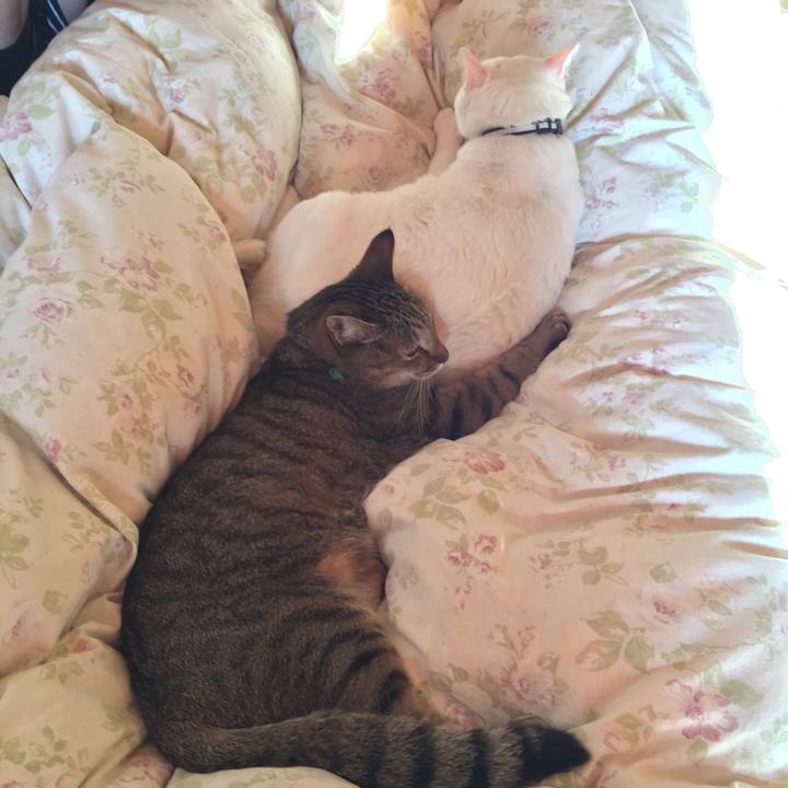 Ee8d7251 8105 49da 9182 f8af00447fef 1540420691316