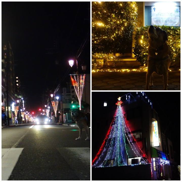 Ee8db9f2 0bba 4c82 b576 f0e7f17c84ea 1545392679994