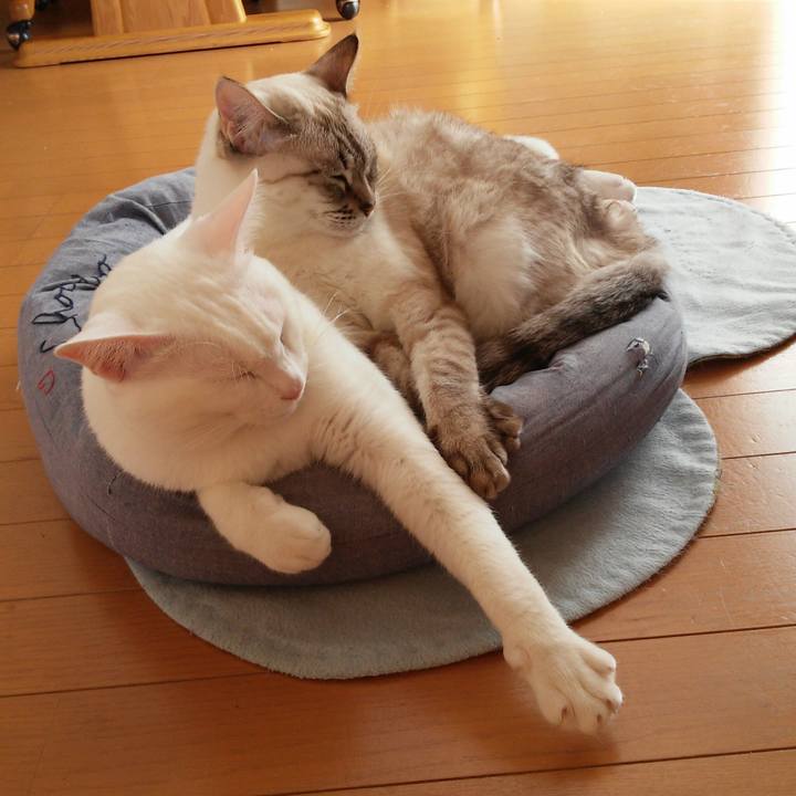 Ee8df62d bc3d 4c86 ad6f 7a9f3cf4580c 1509337415123