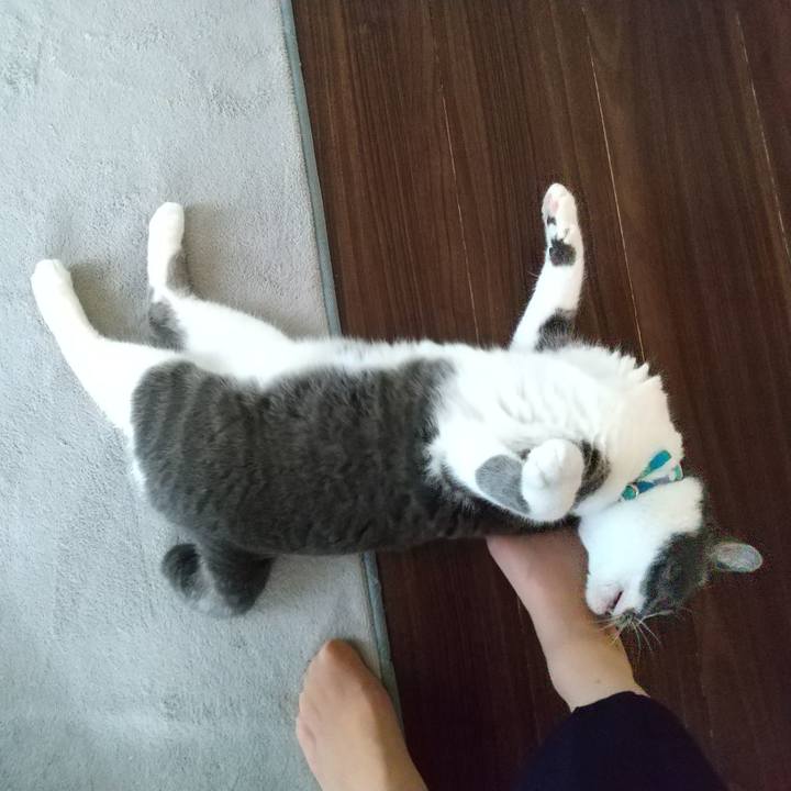 Ee8e58b0 d3a6 4ead bcbc 36c5b3f79bc2 1629946663677