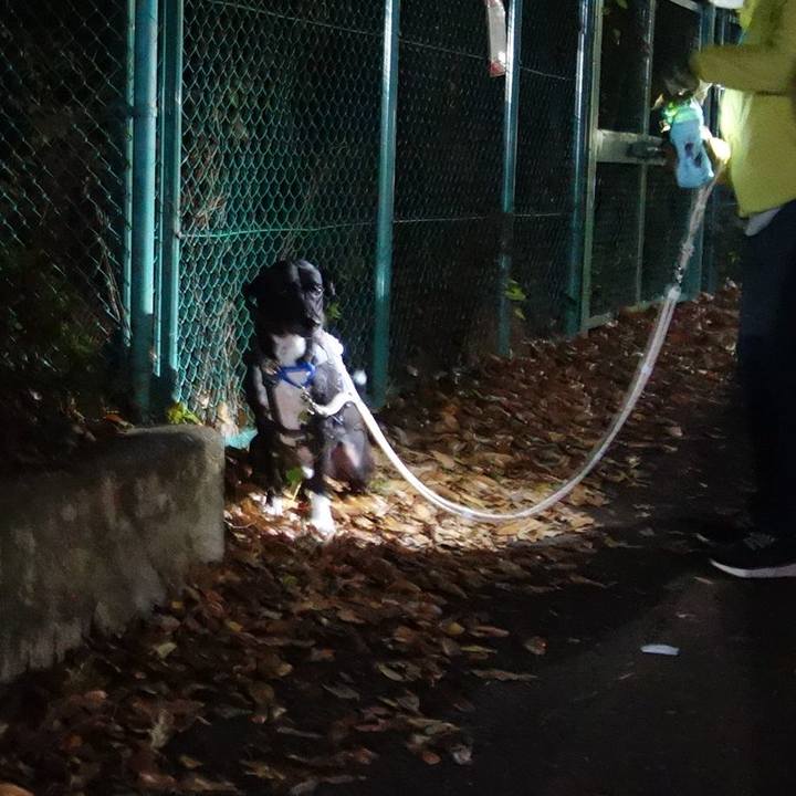 Ee8e80bf e06f 49a3 b35e 88b14ff89260 1639134615185