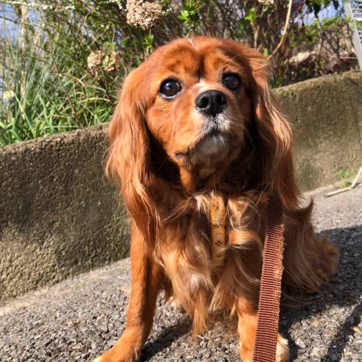 Ee8e8f41 a82d 465d a08c 948f79b748bf 1615933895195