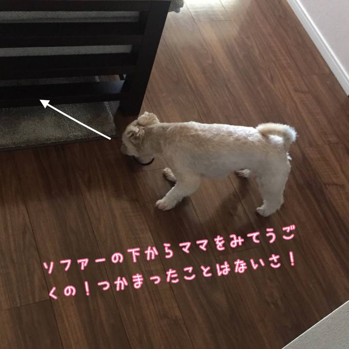 Ee8eb14f fde9 437c 96b1 d368a8ecb434 1534235502817