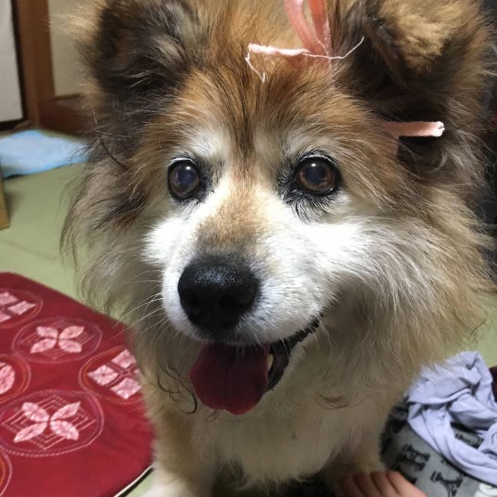 Ee8efc2c 1437 4425 8379 6738d29e1409 1569201904670