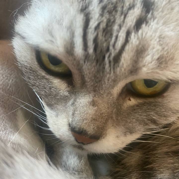 Ee8f39f6 bc96 4058 aed6 f7a8c5a3da0c 1748751111801