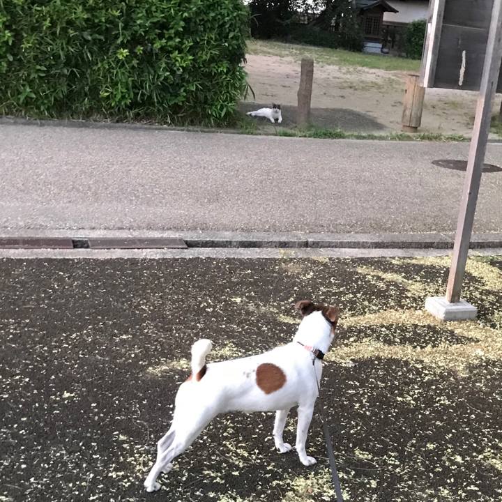 Ee8f6620 5397 4de3 82d8 44ed6a889f99 1533725652470