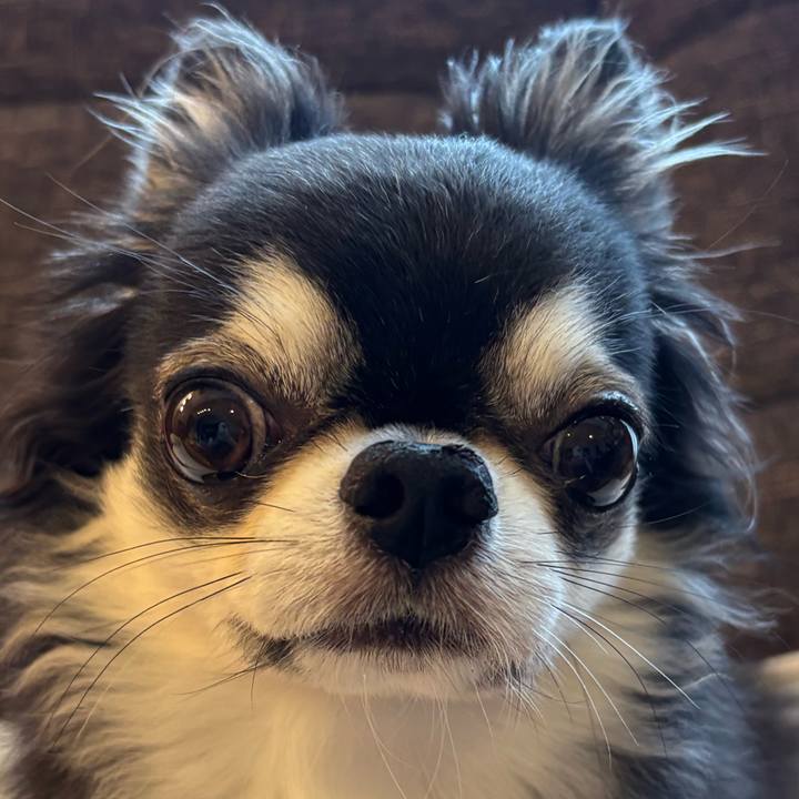 Ee8f750e cda8 4cfa b9f6 1b8baac8ee8a 1754177900536