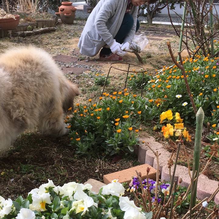 Ee8fe7bc 320b 4be4 9582 fec9ef599f5d 1588002522740