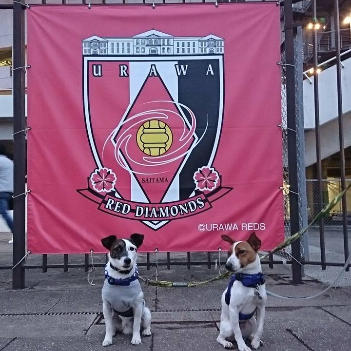 Ee901231 d0ed 41f0 bc7d dc489785bc7d 1525861073787