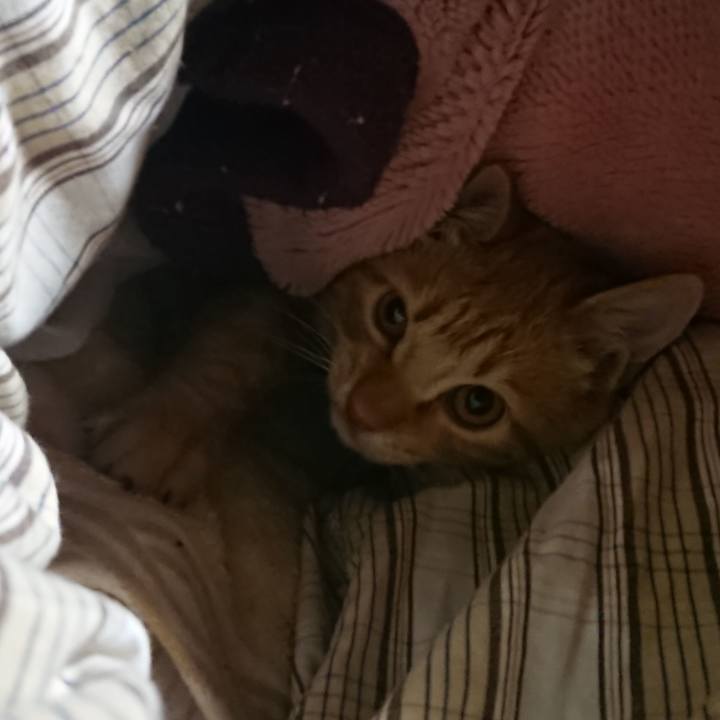 Ee90144d 474d 4cf8 a60b 43688947de61 1638309316013