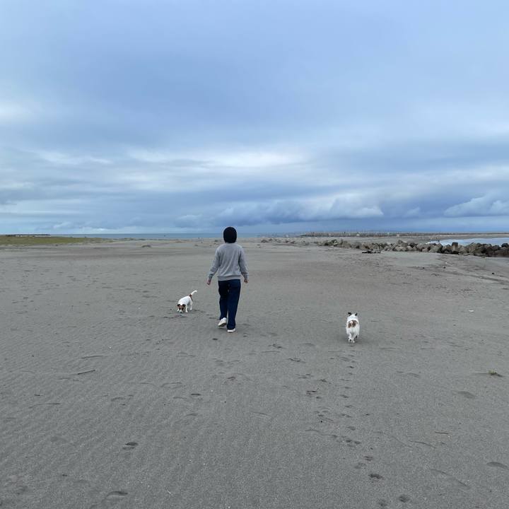 Ee90163f 30c7 4c47 af00 483892661ee9 1728170642172