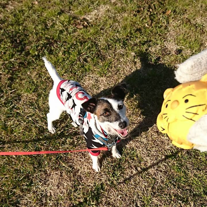 Ee90540a 66ef 4de5 94e1 2e97cafa7e9b 1549100269378